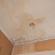 damp ceiling