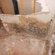 mold restoration
