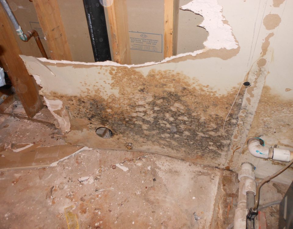 mold restoration
