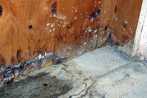 flooded basement water damage repair