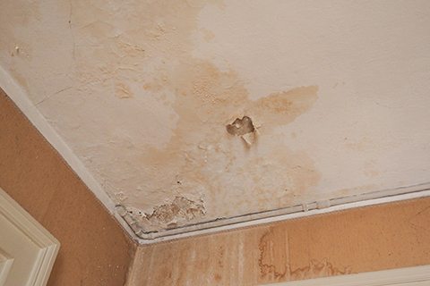 flood damage restoration